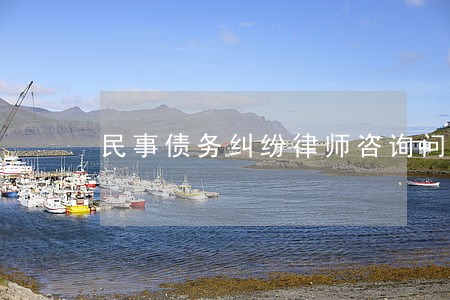 民事债务纠纷律师咨询问题 民事债务纠纷律师咨询问题