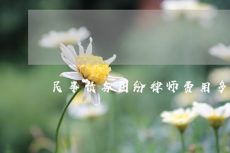 民事债务纠纷律师费用多少 民事债务纠纷律师费用多少