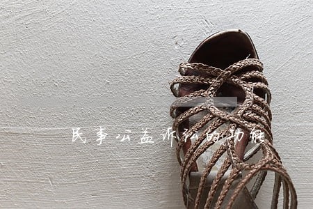 民事公益诉讼的功能 民事公益诉讼的功能