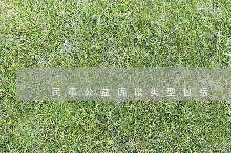 民事公益诉讼类型包括 民事公益诉讼类型包括