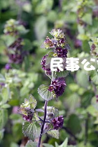 民事公益诉讼起诉状