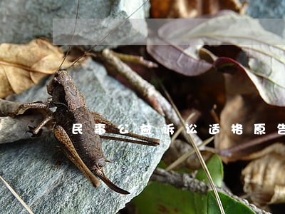 民事公益诉讼适格原告 民事公益诉讼适格原告