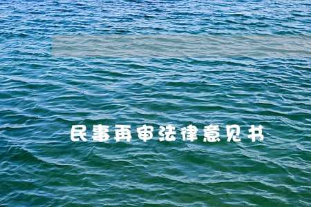 民事再审法律意见书