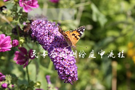 民事合同纠纷庭审流程 民事合同纠纷庭审流程