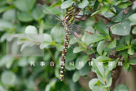 民事合同纠纷律师费用 民事合同纠纷律师费用