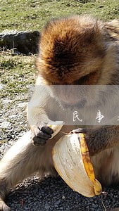 民事基层法院的重要性 民事基层法院的重要性