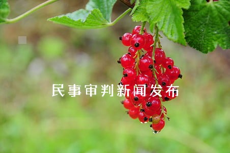 民事审判新闻发布