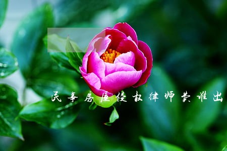 民事房屋侵权律师费谁出 民事房屋侵权律师费谁出