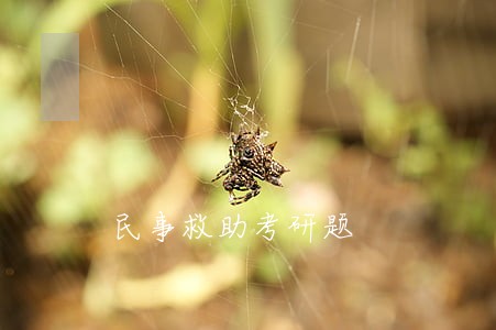 民事救助考研题 民事救助考研题