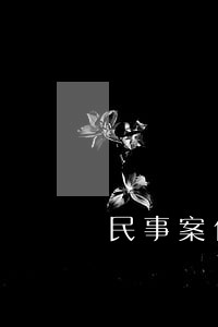 民事案件什么样的律师好 民事案件什么样的律师好