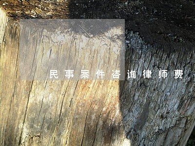 民事案件咨询律师费 民事案件咨询律师费