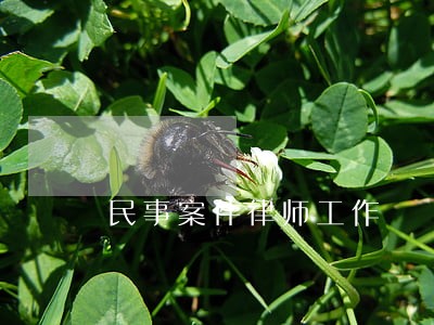 民事案件律师工作 民事案件律师工作