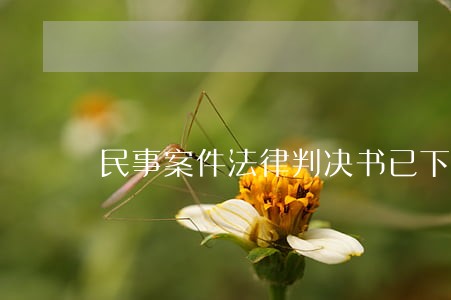 民事案件法律判决书已下来 民事案件法律判决书已下来