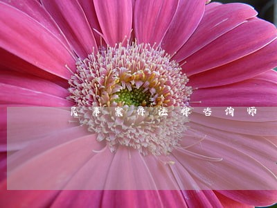 民事案件法律咨询师 民事案件法律咨询师