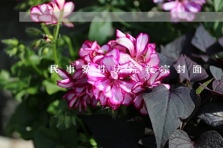 民事案件法院卷宗封面 民事案件法院卷宗封面