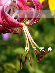 民事案件移交司法局说明什么 民事案件移交司法局说明什么