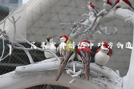 民事案件诉讼中对方伪造证据 民事案件诉讼中对方伪造证据