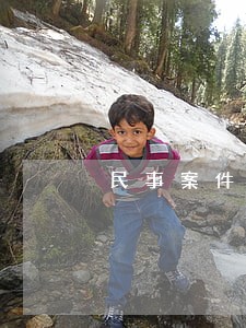 民事案件顾问律师 民事案件顾问律师