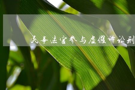 民事法官参与虚假诉讼刑事责任