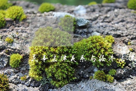 民事法律关系与经济法律关系