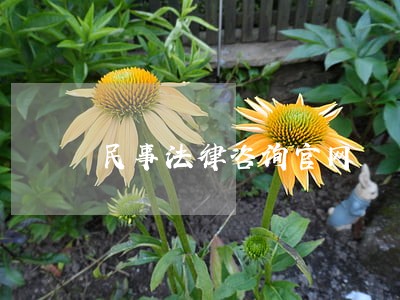 民事法律咨询官网 民事法律咨询官网