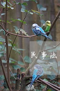 民事法律咨询服务窗口 民事法律咨询服务窗口