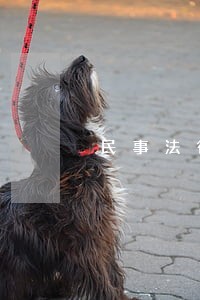 民事法律咨询起诉条件 民事法律咨询起诉条件