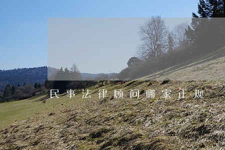 民事法律顾问哪家正规 民事法律顾问哪家正规