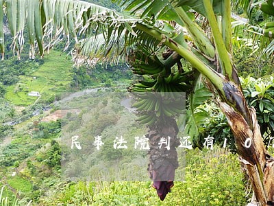 民事法院判还有10几万没给 民事法院判还有10几万没给