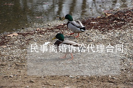 民事离婚诉讼代理合同 民事离婚诉讼代理合同