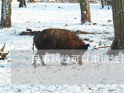 民事纠纷可以申请法律援助 民事纠纷可以申请法律援助