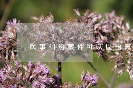 民事纠纷案件可以提出离婚吗 民事纠纷案件可以提出离婚吗