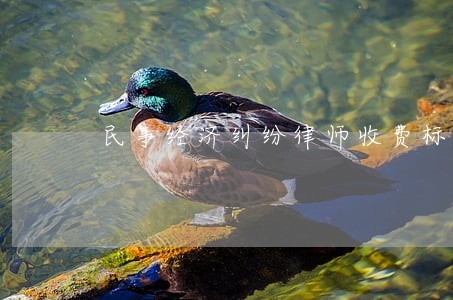 民事经济纠纷律师收费标准 民事经济纠纷律师收费标准