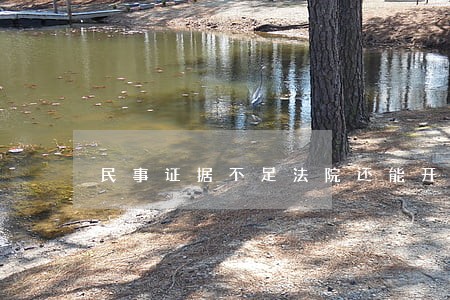 民事证据不足法院还能开