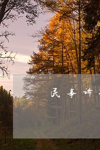 民事诉讼4万元请律师费用 民事诉讼4万元请律师费用