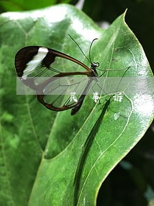 民事诉讼上诉状怎么写 民事诉讼上诉状怎么写
