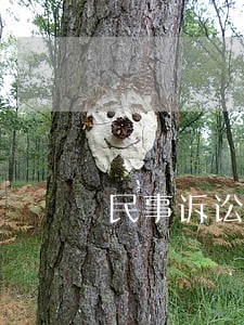 民事诉讼不予立案裁定书 民事诉讼不予立案裁定书