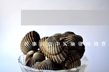 民事诉讼中实施律师调查令 民事诉讼中实施律师调查令