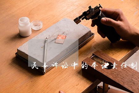 民事诉讼中的举证责任制度
