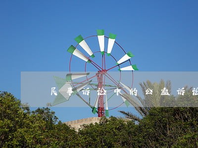 民事诉讼中的公益诉讼法条 民事诉讼中的公益诉讼法条