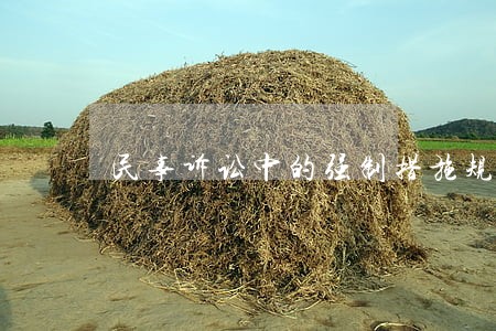 民事诉讼中的强制措施规定 民事诉讼中的强制措施规定