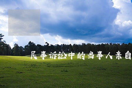 民事诉讼中的当事人亲自出庭制度 民事诉讼中的当事人亲自出庭制度