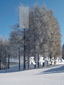 民事诉讼中的民事是什么意思 民事诉讼中的民事是什么意思