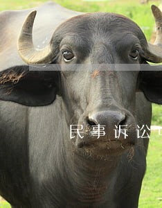 民事诉讼中的诉权是指 民事诉讼中的诉权是指