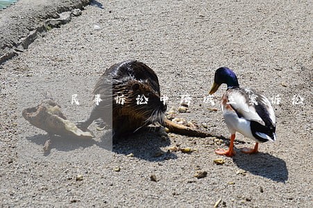 民事诉讼中跨域立案诉讼制度简析