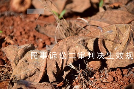 民事诉讼二审判决生效规定 民事诉讼二审判决生效规定