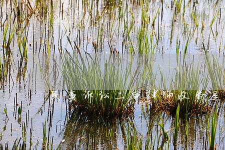 民事诉讼二审律师收费是多少 民事诉讼二审律师收费是多少
