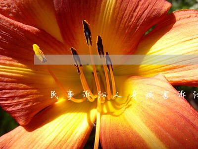民事诉讼人身损害诉讼时效 民事诉讼人身损害诉讼时效