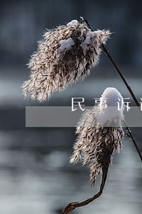 民事诉讼伪证罪的侦查机关 民事诉讼伪证罪的侦查机关