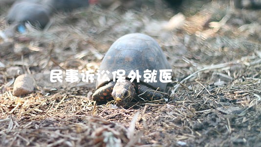 民事诉讼保外就医 民事诉讼保外就医